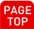 PAGE TOP